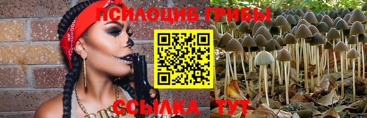 Галлюциногенные грибы Psilocybe  Вход с VPN  Новосибирск 